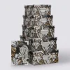 7 boîtes coins, Panthère