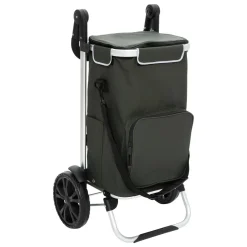 Chariot de course, 2 roues, Vert