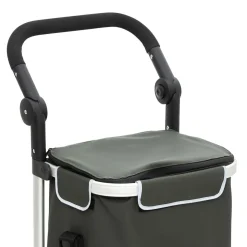 Chariot de course, 2 roues, Vert