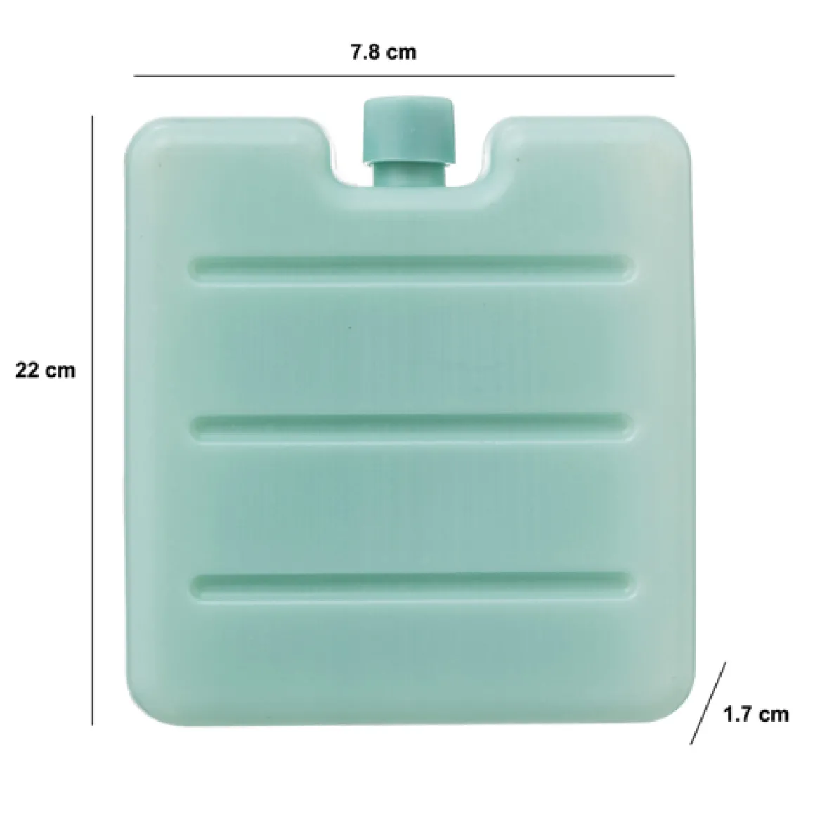 Lot de 3 blocs réfrigérants, 100ml