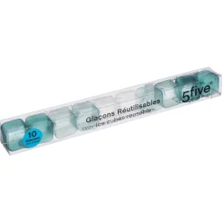 Lot de 10 glacons réutilisables