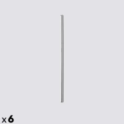 Lot de 6 pailles avec goupillon en inox