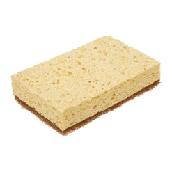 Lot de 2 éponges en coco