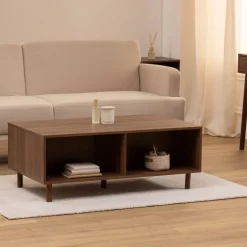 Table basse, 2 portes, Marron