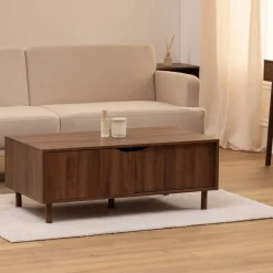 Table basse, 2 portes, Marron